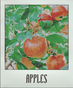 Apples