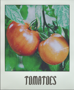 Tomatoes