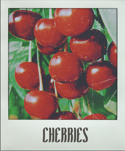 Cherries