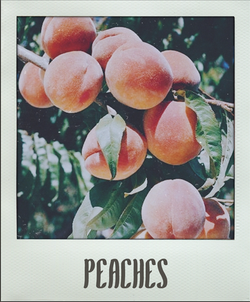 Peaches