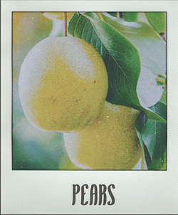 Pears